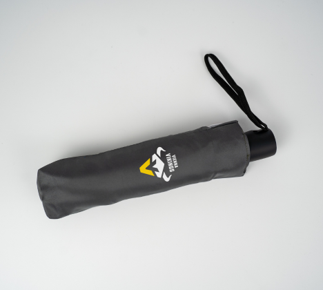 Vienna Vikings Taschenschirm