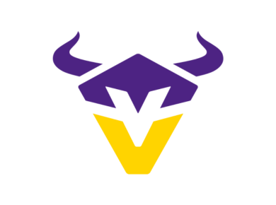 Vienna Vikings merch
