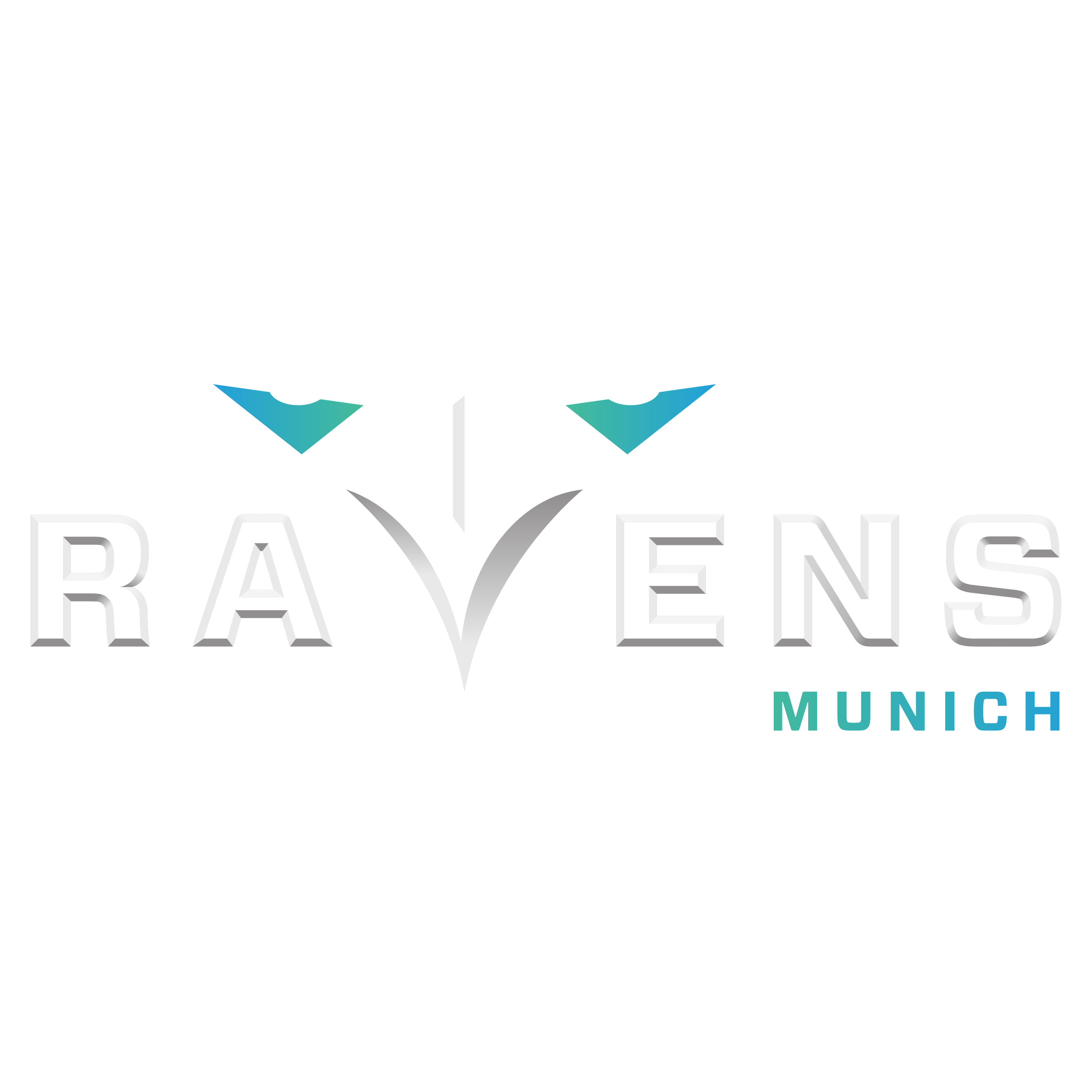 Munich Ravens merch